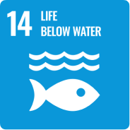 sdgs