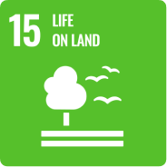 sdgs