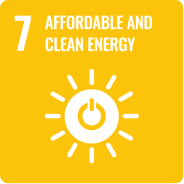 sdgs
